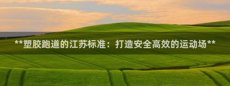 尊龙官网入口：**塑胶跑道的江苏标准：打造安全高效的运动场**