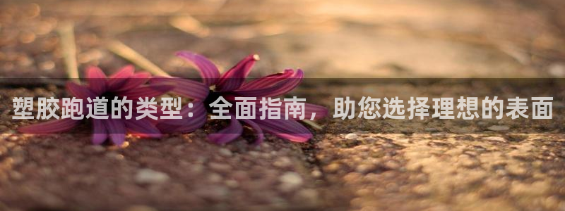 尊龙人生就是博一下下：塑胶跑道的类型：全面指南，助您选择理想的表面