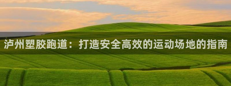 尊龙d88皆选ag发财网：泸州塑胶跑道：打造安全高效的运动场地的指南