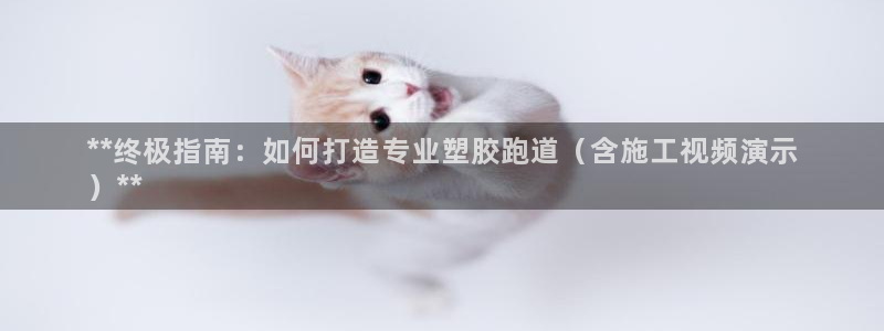 尊龙凯时干什么的