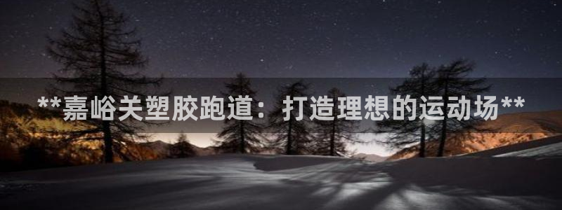 尊龙一人生就是博尊：**嘉峪关塑胶跑道：打造理想的运动场**