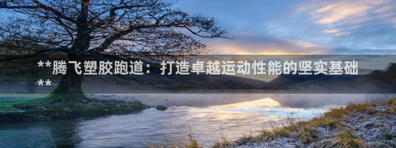 尊龙凯时 人生就是搏：**腾飞塑胶跑道：打造卓越运动性能的坚实基础
**