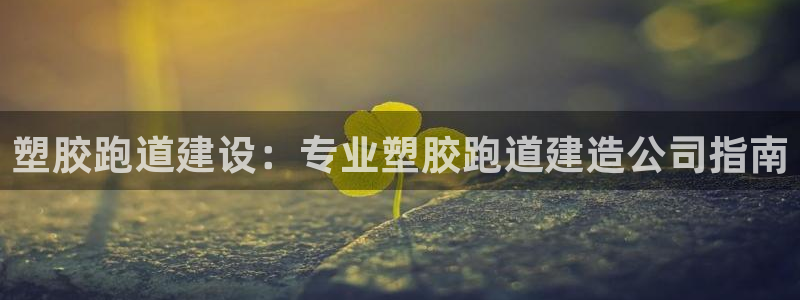 尊龙凯时平台有没有不到账的：塑胶跑道建设：专业塑胶跑道建造公司指南