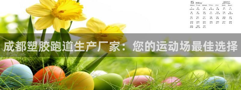 尊龙体育正规么：成都塑胶跑道生产厂家：您的运动场最佳选择