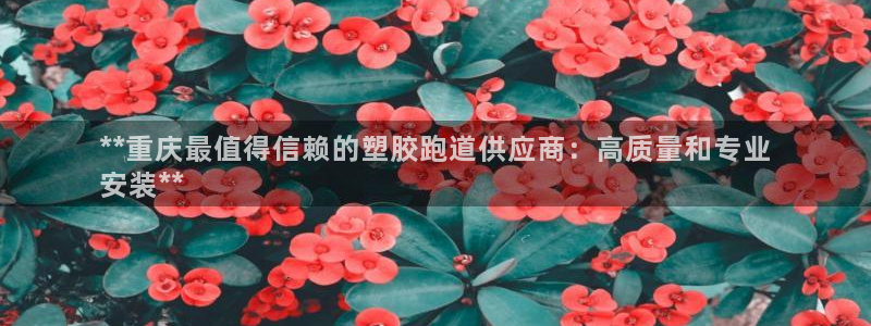 尊龙官网手：**重庆最值得信赖的塑胶跑道供应商：高质量和专业
安装**