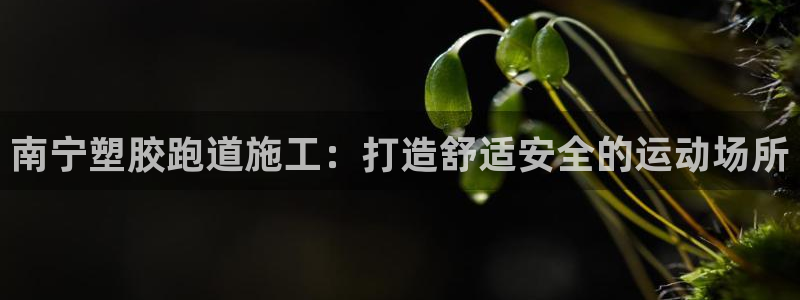 尊龙凯时 人生就是搏 平台