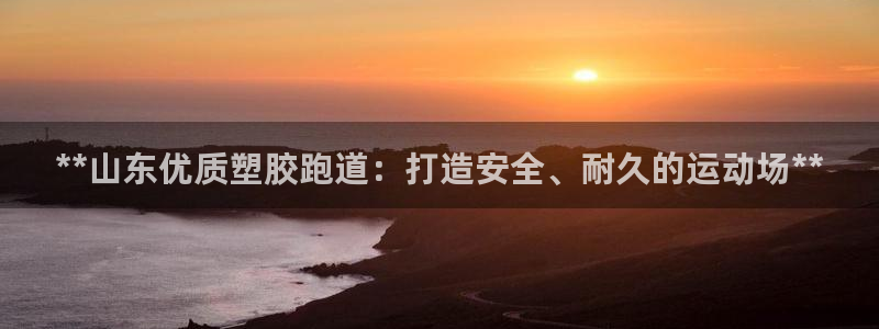 z6com尊龙：**山东优质塑胶跑道：打造安全、耐久的运动场**