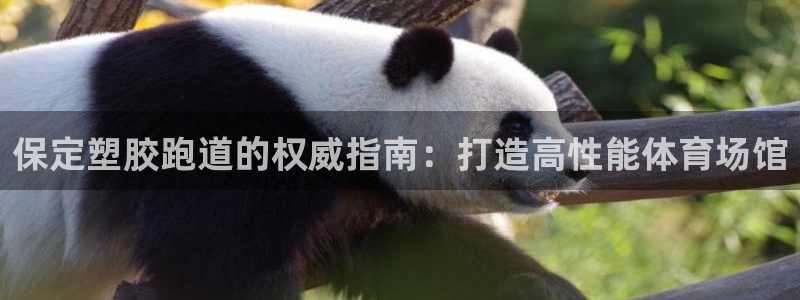 尊龙凯时充十万返现多少：保定塑胶跑道的权威指南：打造高性能体育场馆
