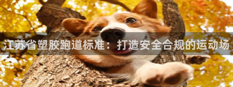 尊龙凯时 人生就是搏!：江苏省塑胶跑道标准：打造安全合规的运动场
