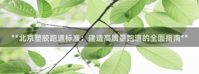 尊龙官网国际：**北京塑胶跑道标准：建造高质量跑道的全面指南**