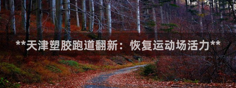 凯时首页地址：**天津塑胶跑道翻新：恢复运动场活力**