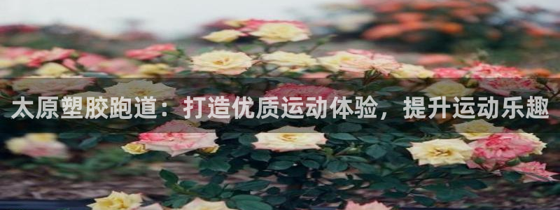 尊龙专访视频