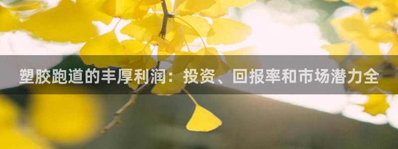 尊龙体育直接访问agbaofu.wang|ag暴富网：塑胶跑道的丰厚利润：投资、回报率和市场潜力全
