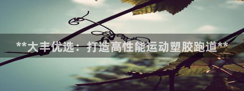 尊龙凯时赢不了：**大丰优选：打造高性能运动塑胶跑道**