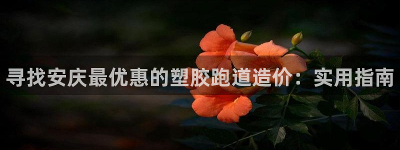 尊龙官网手机版：寻找安庆最优惠的塑胶跑道造价：实用指南