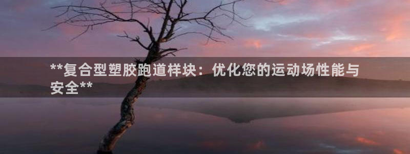 尊龙旗舰厅app：**复合型塑胶跑道样块：优化您的运