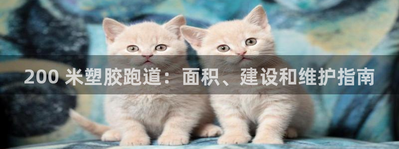 尊龙现金推荐ag发财网：200 米塑胶跑道：面积、建设和维护指南