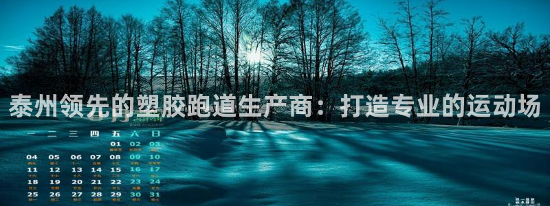 尊龙电子：泰州领先的塑胶跑道生产商：打造专业的运动场
