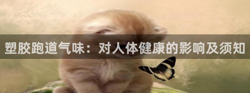 凯时国际app首页：塑胶跑道气味：对人体健康的影响及须知