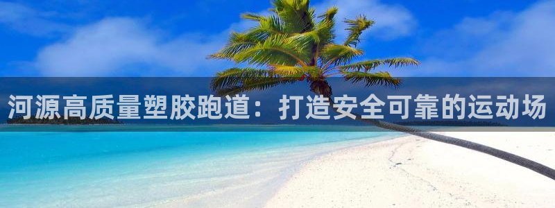尊龙人生就是博官方官网：河源高质量塑胶跑道：打造安全可靠的运动场