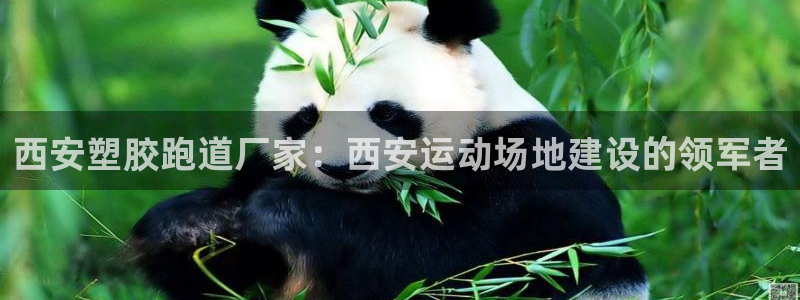 尊龙凯时官网入口：西安塑胶跑道厂家：西安运动场地建设的领军者