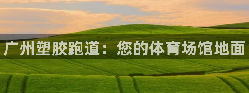 尊龙平台登录：广州塑胶跑道：您的体育场馆地面