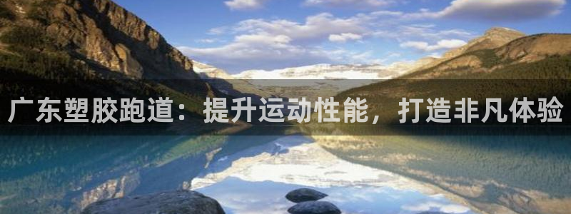 尊龙一人生就是博尊：广东塑胶跑道：提升运动性能，打造非凡体验