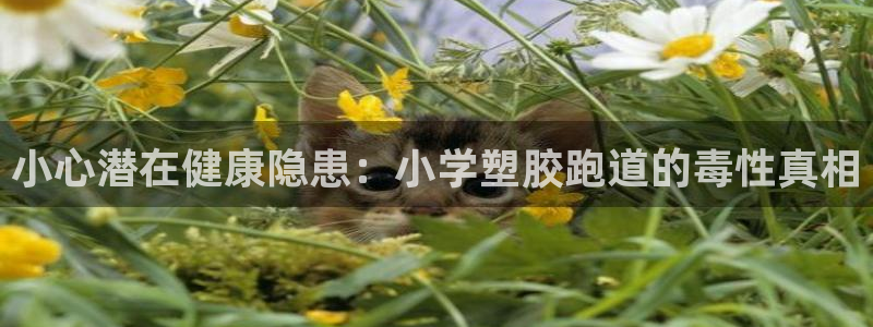 尊龙ag：小心潜在健康隐患：小学塑胶跑道的毒性真相