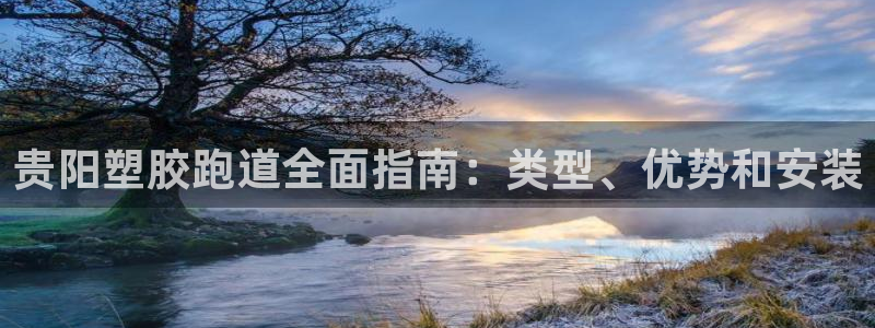 尊龙凯时提现不了：贵阳塑胶跑道全面指南：类型、优势和安装