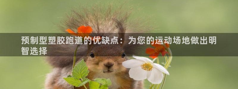 凯时APP官网首页：预制型塑胶跑道的优缺点：为您的运动场地做出明
智选择