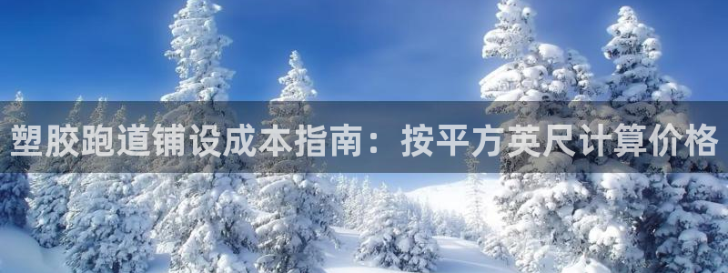 尊龙网页