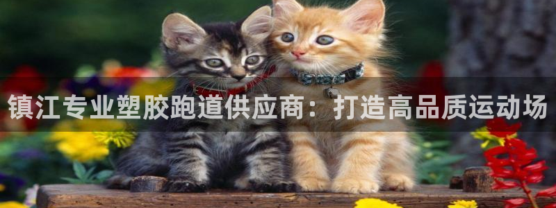 尊龙物流怎么样