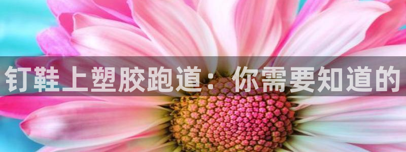 尊龙手机客户端下载：钉鞋上塑胶跑道：你需要知道的