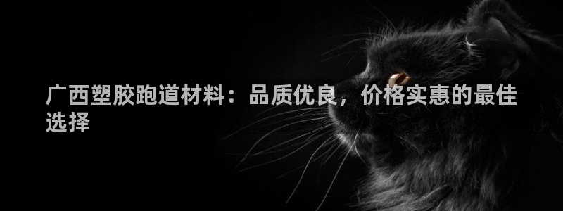 尊龙,人生就是搏：广西塑胶跑道材料：品质优良，价格实惠的最佳
选择