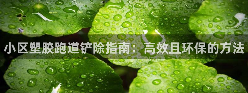 尊龙凯时人生就是博·(中国)官网首页