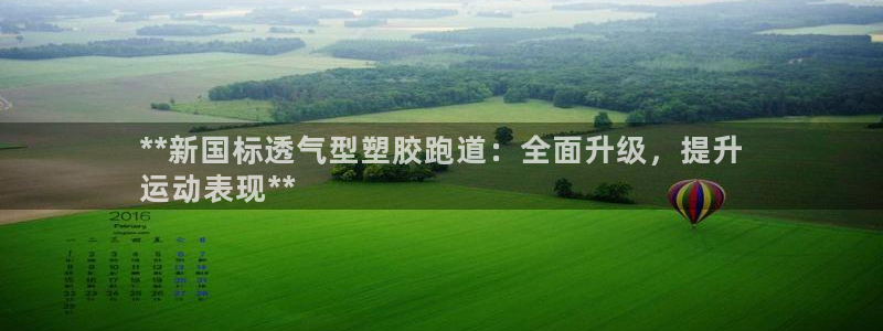 尊龙凯时平台有没有不到账的：**新国标透气型塑胶跑道：全面升级，提升
运动表现**