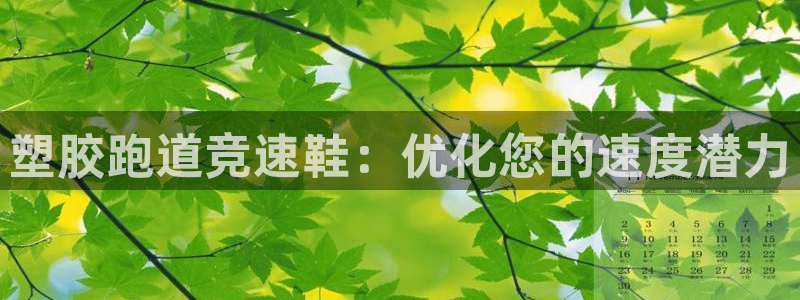 尊龙凯时百家乐手机下载