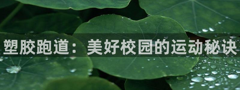 尊龙ag旗舰厅手机版