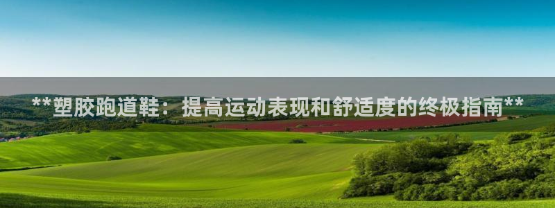 尊龙D88现金旧版：**塑胶跑道鞋：提高运动表现和舒