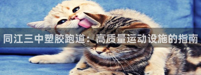 尊龙凯时提款一直审核中：同江三中塑胶跑道：高质量运动