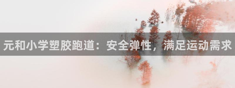尊龙app官网登录：元和小学塑胶跑道：安全弹性，满足运动需求