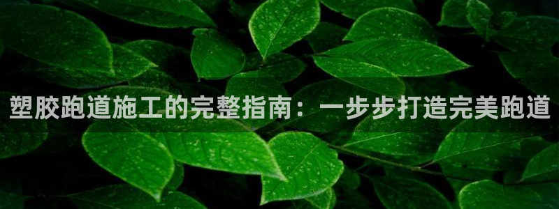 尊龙官方网站最新版V9.3.06：塑胶跑道施工的完整指南：一步步打造完美跑道
