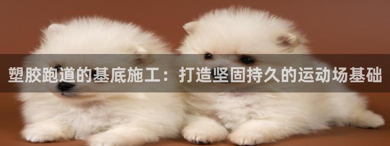 尊龙人生就是博旧版现