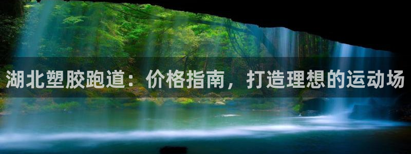 尊龙凯时有假么：湖北塑胶跑道：价格指南，打造理想的运动场