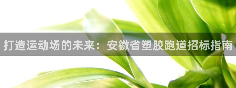 尊龙D88现金旧版：打造运动场的未来：安徽省塑胶跑道招标指南