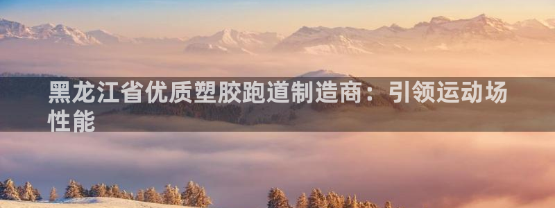 ZL尊龙凯时集团：黑龙江省优质塑胶跑道制造商：引领运动场
性能
