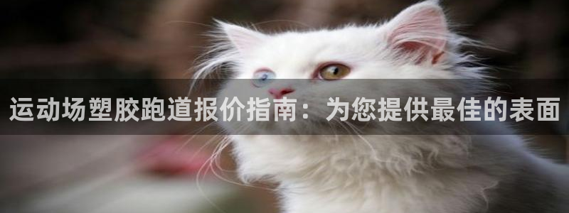 凯时AG网：运动场塑胶跑道报价指南：为您提供最佳的表