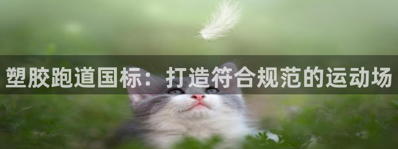 z6尊龙官网