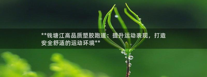 百度一下尊龙：**钱塘江高品质塑胶跑道：提升运动表现，打造
安全舒适的运动环境**