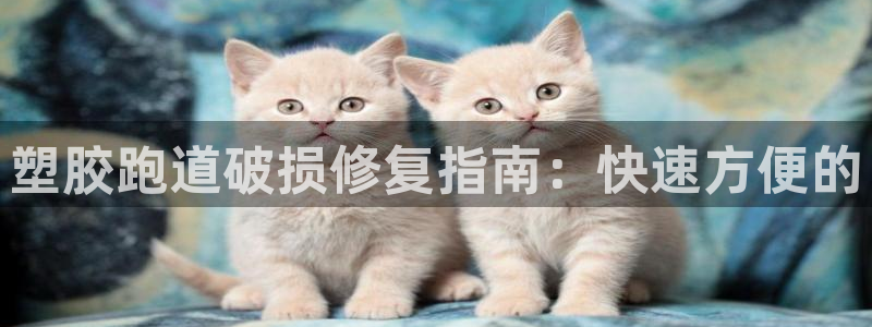 尊龙凯时下载链接